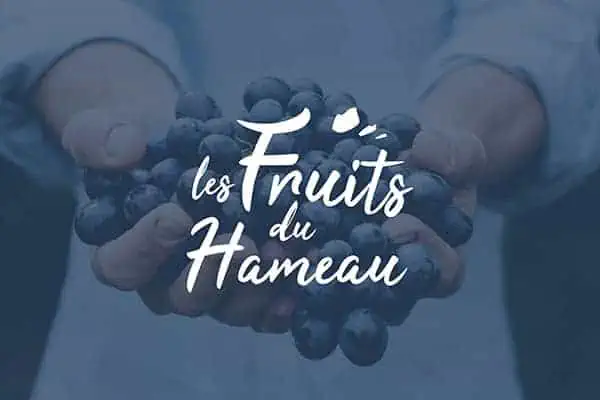 Logo D'Un Producteur De Fruits Dans La Drôme